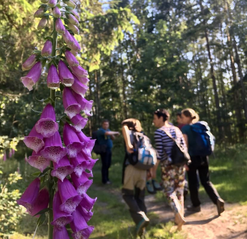 Obrázek pro Tipy na akce