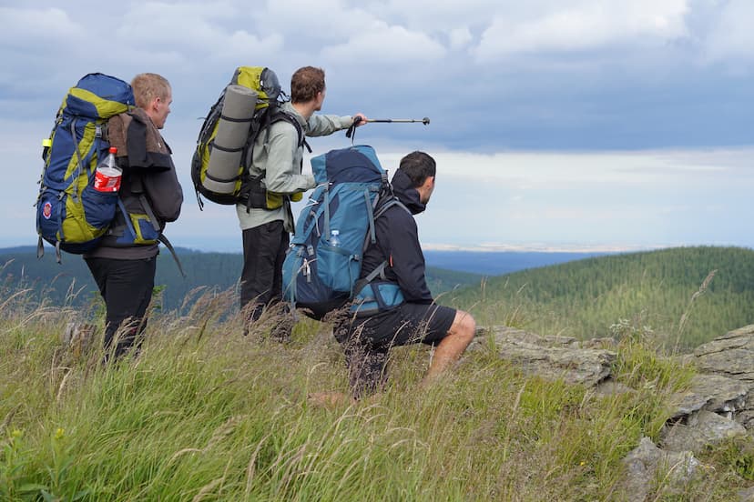 Obrázek pro Necestou vol. 1 – Smečka