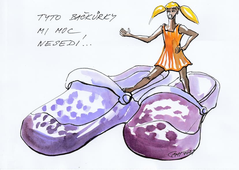 Obrázek pro O bačkůrkách a jiných svobodných příbězích